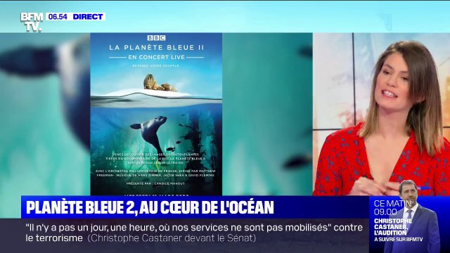 Le documentaire Planète bleue 2 , au cœur de l'océan, sera diffusé sur grand écran à l'AccorHotels Arena le 11 mars prochain