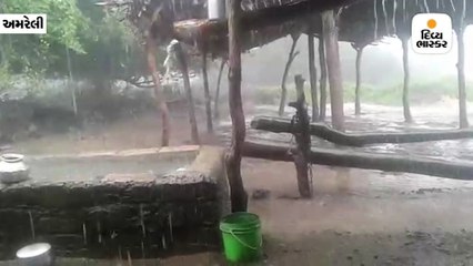 ખાંભા સહિત ગીરના જંગલમાં એક કલાકમાં 4 ઇંચ