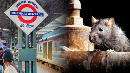 Rats Cost 6 Crores To Chennai Railway Division |Oneindia Kannada