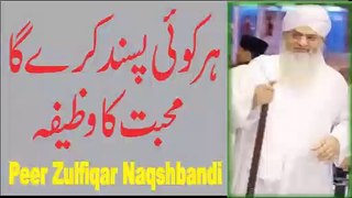 Har Koi Pasand Karaiga Mohabbat Ka Wazifa - Peer Zulfiqar Naqshbandi