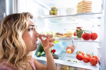 Wie entfernt man Gerüche aus dem Kühlschrank?