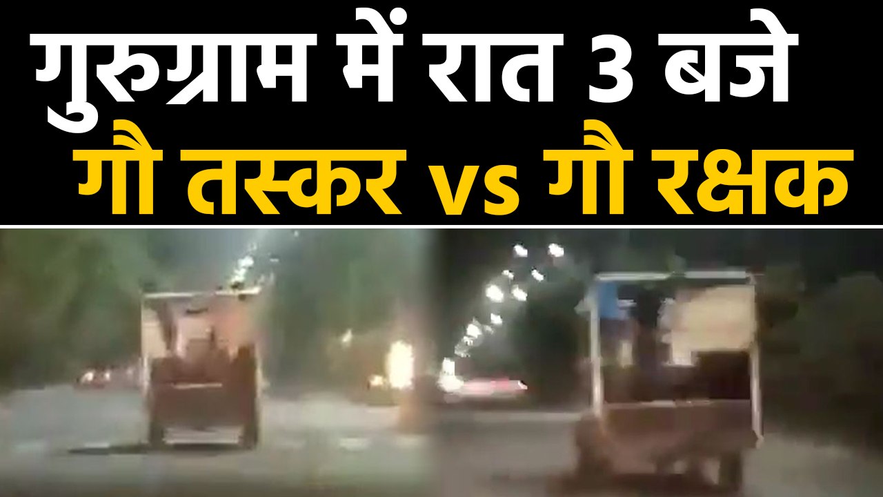 Gurugram में Cow Smuggler Vs Gau Rakshak, Bajrang Dal कार्यकर्ता को लगी गोली | वनइंडिया हिंदी