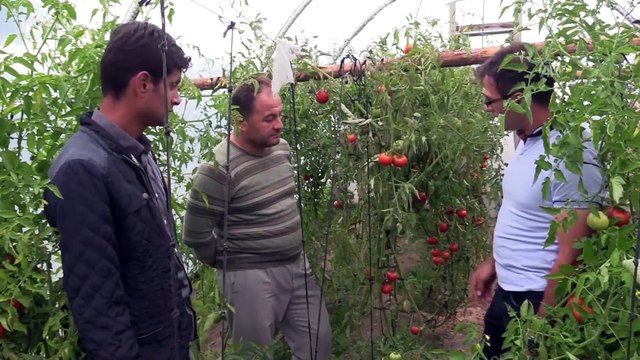 Köyüne dönen ziraat mühendisi köylülere yol gösteriyor - KASTAMONU