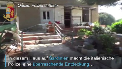 Marihuanaplantage hinter Duschfliesen auf Sardinien entdeckt