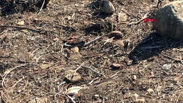Çanakkale savaşları'ndan kalma patlamamış el bombası imha edildi