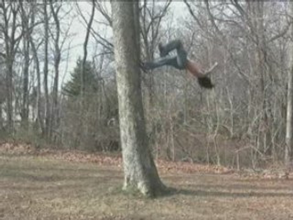 Backflip sur un arbre