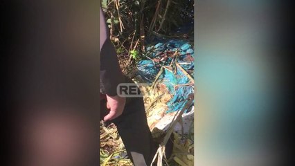 Report TV -Qese të mbushura me pula të ngordhura nga Fieri, si po ndotet lumi Buna