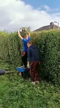 Grosse technique pour tailler la haie !