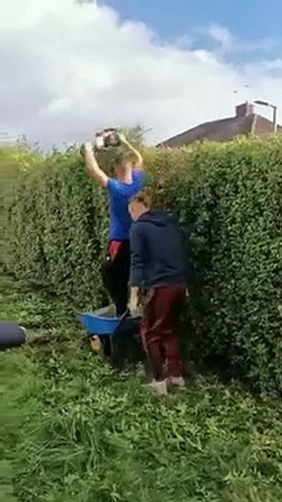 Grosse technique pour tailler la haie !
