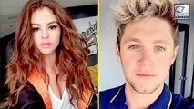 Selena Gomez Visits Niall Horan With A Bag Of Groceries Amid Dating Rumors