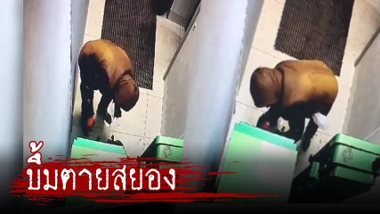 ดับอนาถ หัวขโมยวางระเบิดตู้ ATM ก่อนบึ้มใส่ตัวเอง