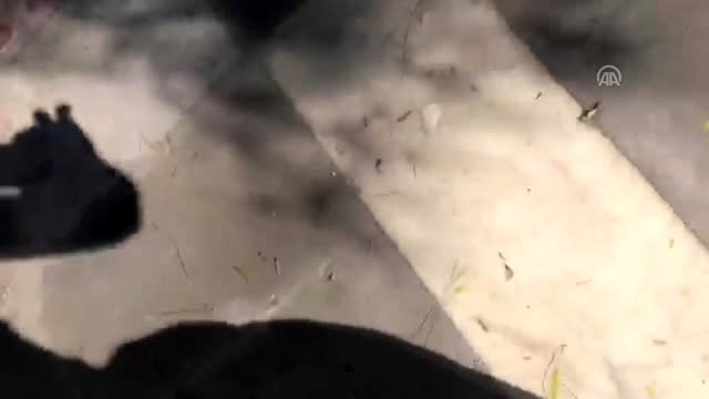 Akçakale'ye havan mermisi düştü