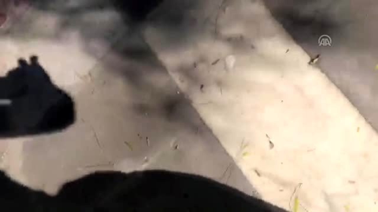 Akçakale'ye havan mermisi düştü