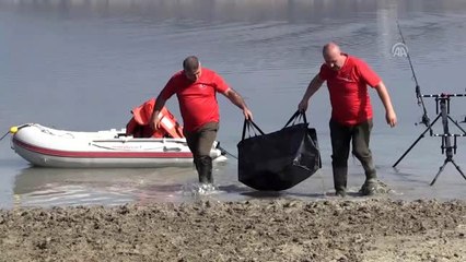 En büyük balığı yakalamak için yarışıyorlar