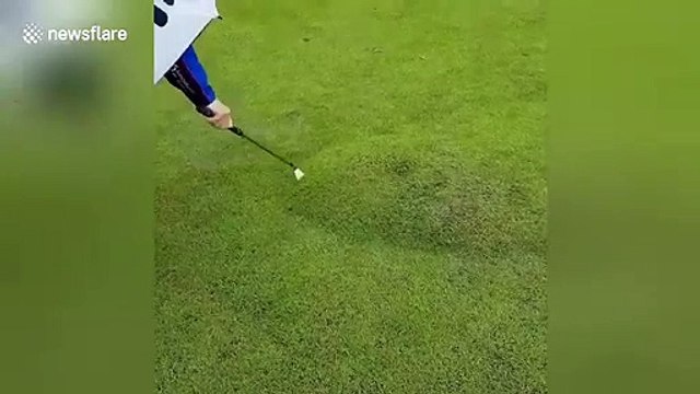 Il perce une bulle d'eau dans le gazon sur le parcours de golf !