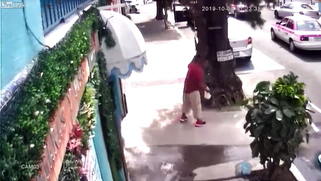 Marre des pigeons ? Cet homme les attrape au filet en pleine rue !