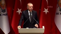 Erdoğan 'Barış Pınarı Harekatı' konuşması