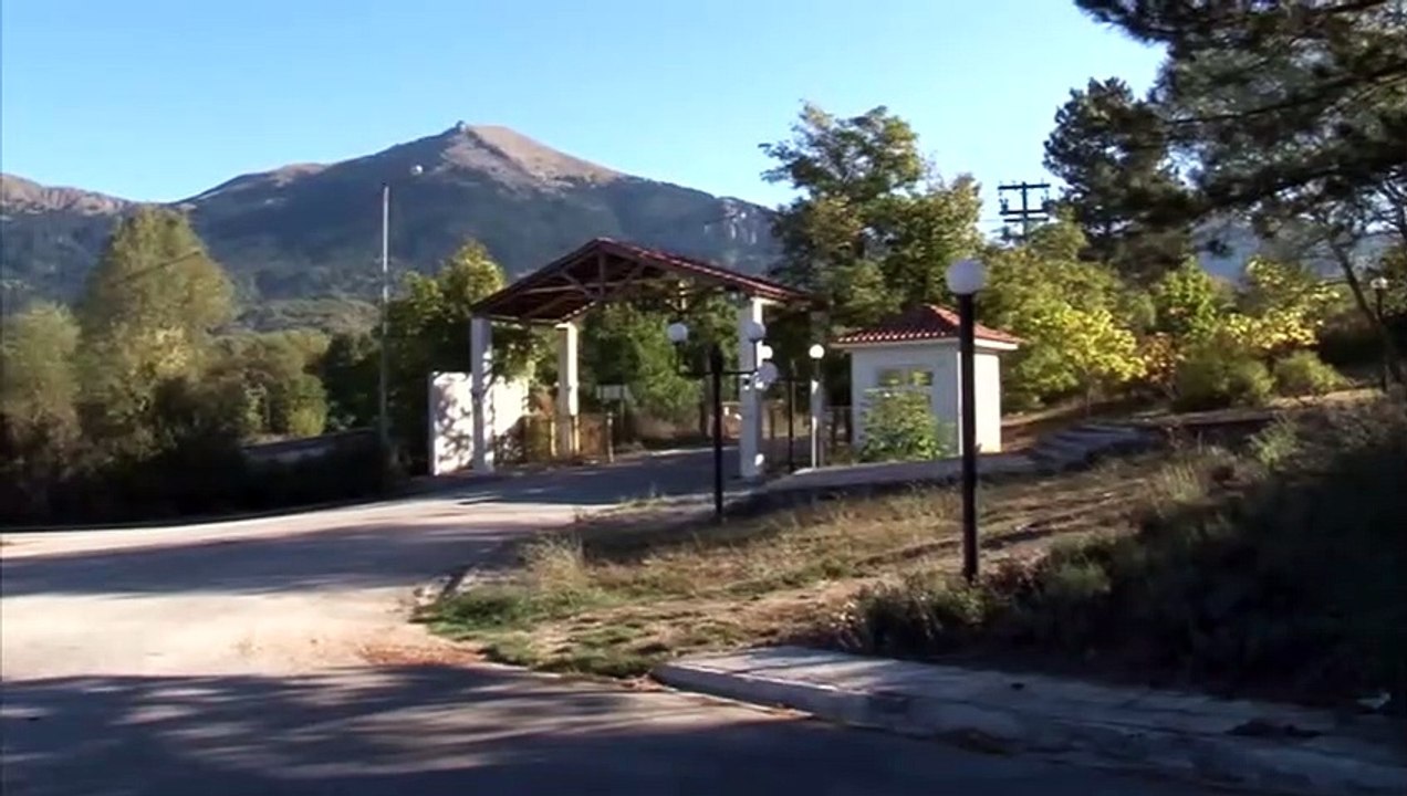 Αγριογούρουνα εισέβαλαν στο Αθλητικό κέντρο Καρ...