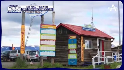 [스페셜] 도시어부 대물 레전드 '알래스카편'