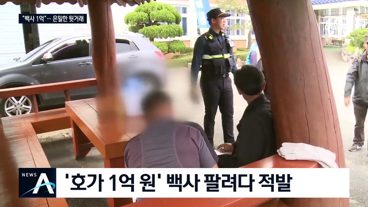 “백사 1억” 밀렵 단속 현장 가보니…은밀한 뒷거래