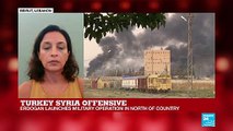 Turkey's Syria offensive: NGOs express alarm