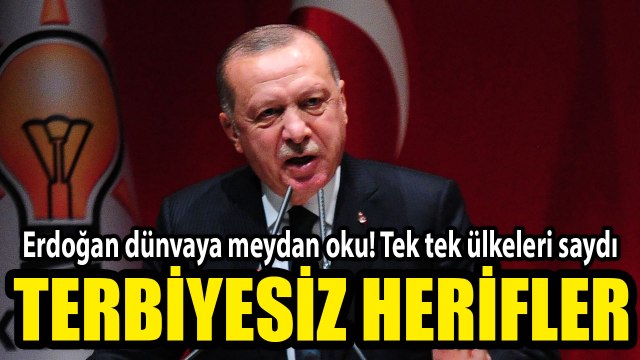 Erdoğan dünyaya meydan okudu! Tek tek ülkeleri saydı!