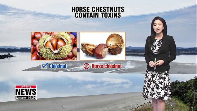 Typical autumn weather with temperatures recovering back to its seasonal norm