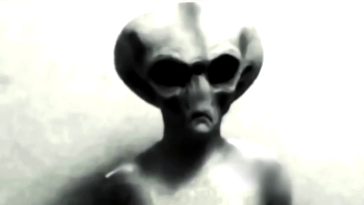 Reptilians alien captured alive and caught in tape