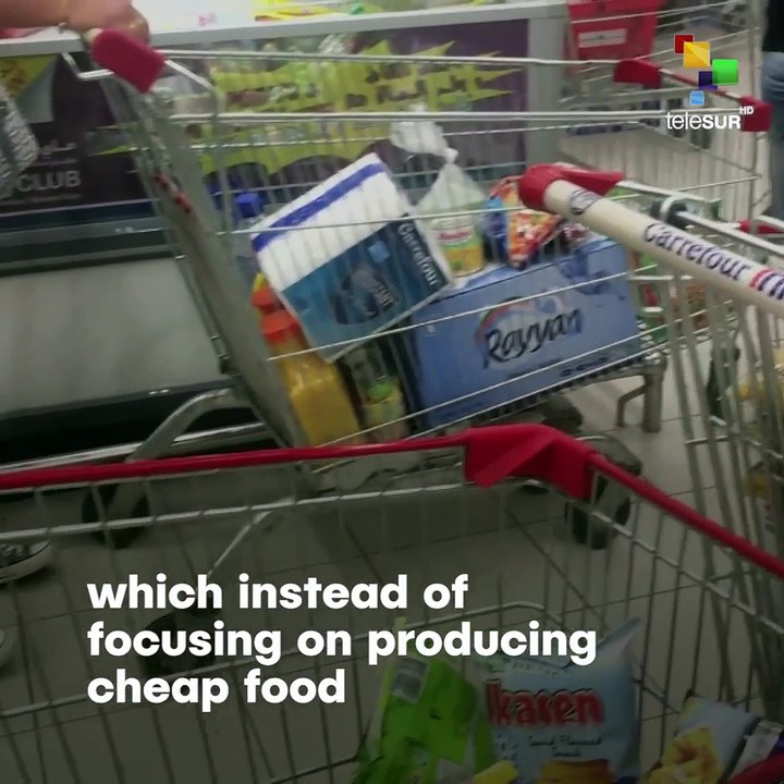 Farming Subsidies Are Killing The World