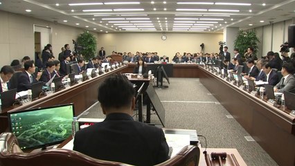 정무위, 'DLF 사태' 함영주 하나금융 부회장 증인 채택 / YTN