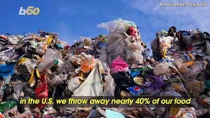 Could This Fried Food Help Save Our Planet?