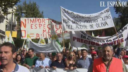 Manifestación en defensa del olivar tradicional