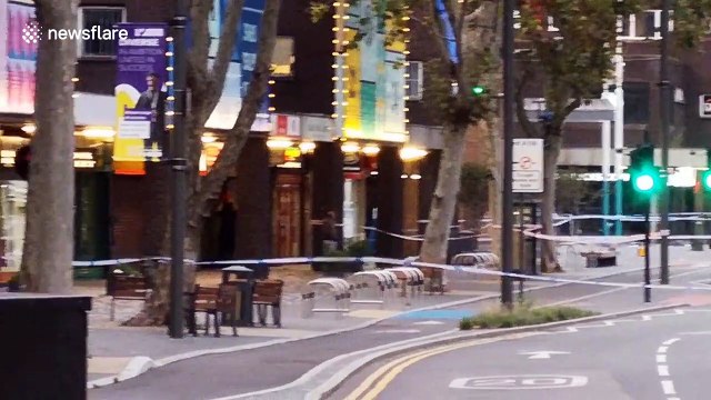 Stratford stabbing: Teenager knifed to death outside McDonald's in east London