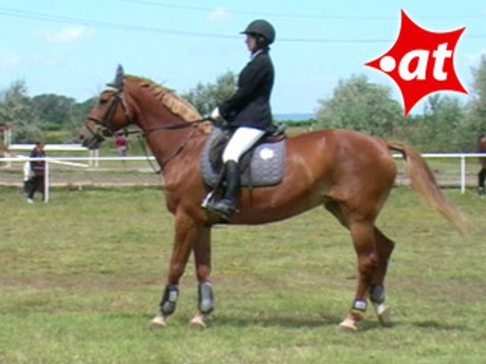 Andrea Fuhrmann, Springreiten, Burgenland (2007-030)