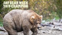 Meet Holly, the New Queen of Katmai National Park's 'Fattest Bear' Competition