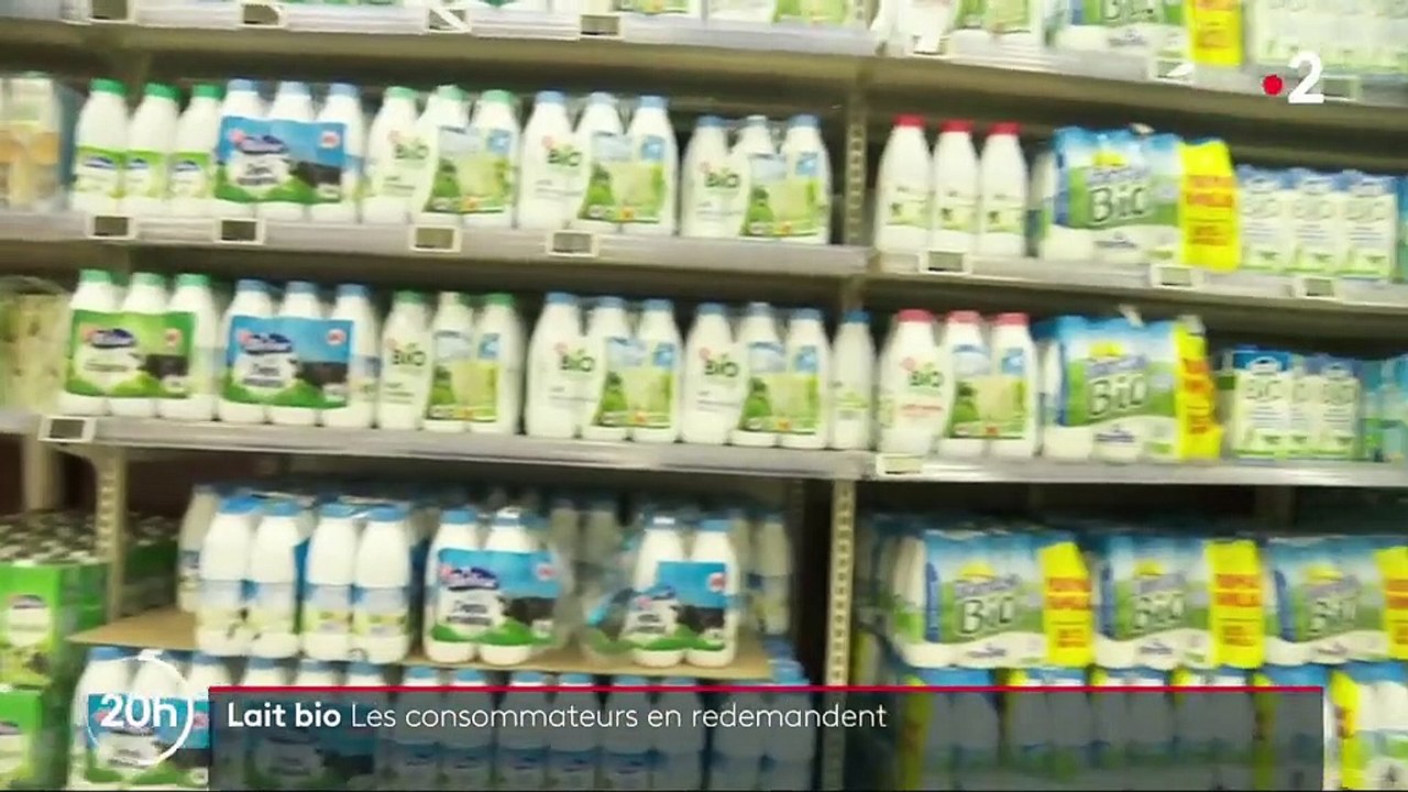 Agriculture : les producteurs de lait se convertissent au bio