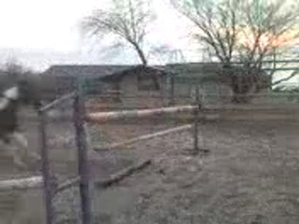 Video-0003