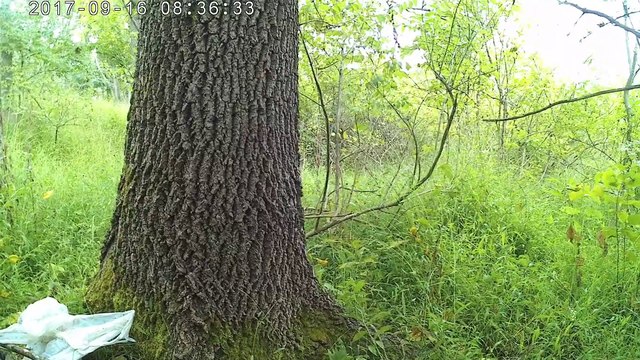 37 Fatima Pilgrimage walk across USA #86 Philly Hike to Shrines of St Rita Of Cassia and St Drexel