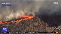 [이 시각 세계] '산불 위험에'…美 캘리포니아 강제 단전