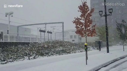 First snowfall of the season blankets Denver in white