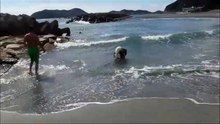 竜宮の磯