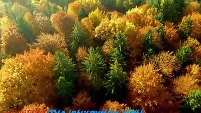 Arial view of Norwegian nature