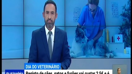 Registo de animais passa a ser obrigatório a partir de Novembro de 2019