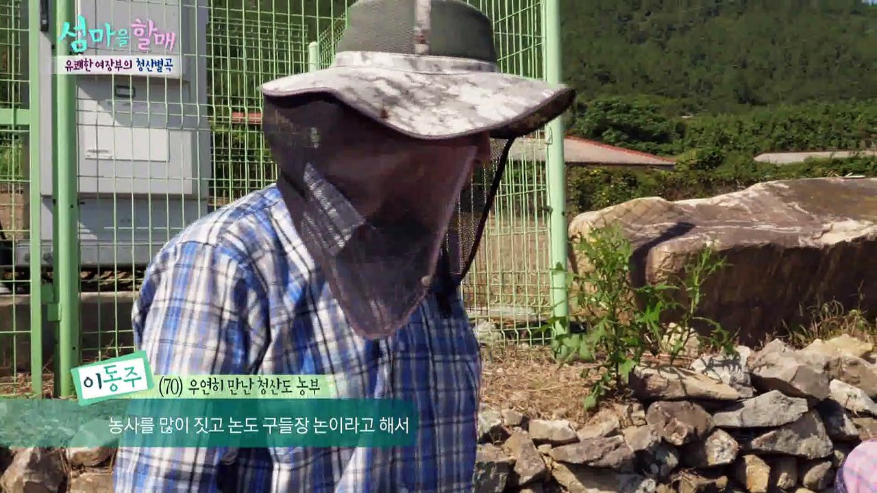 살고싶은 그곳! 신선들이 살던 슬로시티 청산도 [섬마을할매] 14회
