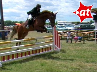 Andrea Schwarz, Springreiten, Burgenland (2007-031)