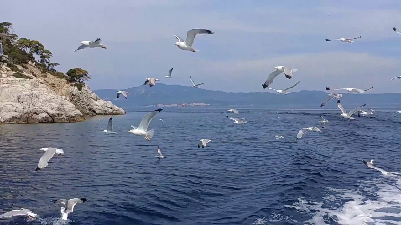 How Deep is Your Love | Smooth Jazz Flute