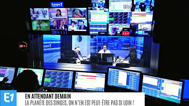 La planète des singes, on n’en est peut-être pas si loin !