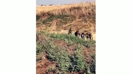 Suriye'de yakalanan teröristlerin başına çuval geçirildi