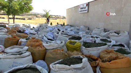 Terörün finans kaynağına büyük darbe