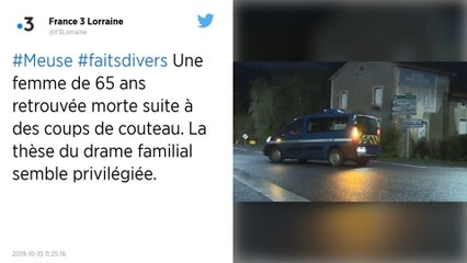 Meuse. Une femme de 65 ans tuée à coups de couteau, sa fille blessée à l’arme blanche